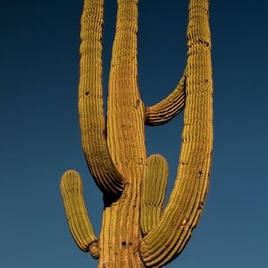 Meet your Posher, Gary